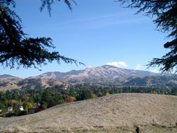 View of Mt. Diablo